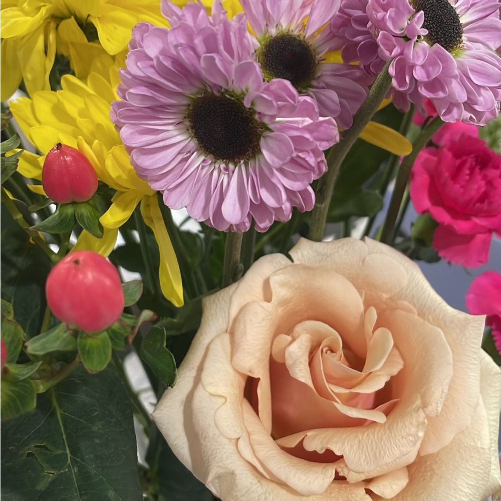 Meet your Posher, Jasmine